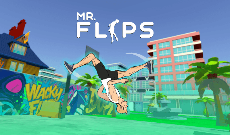 Mr Flip