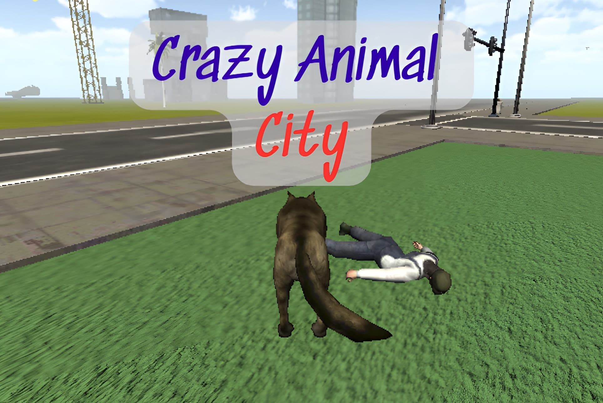 Crazy Animal City